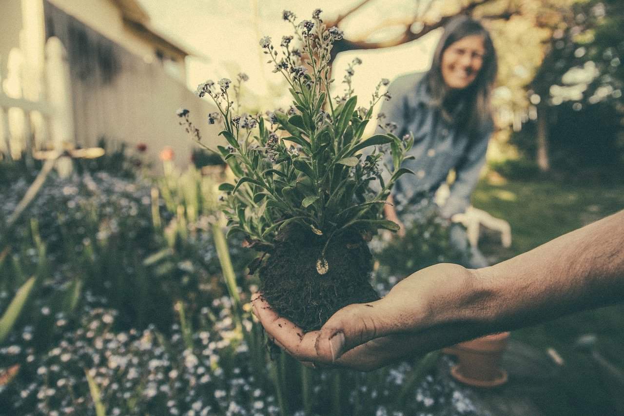 gardening to reduce stress